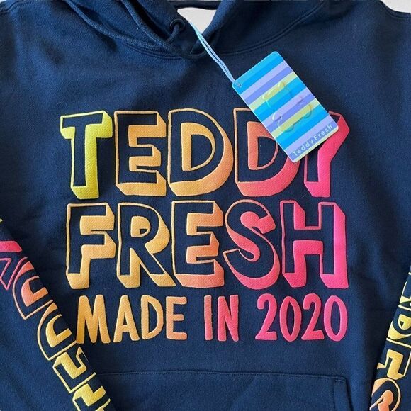 Teddy Fresh Made in 2020 Hoodie NWT Black Medium Sweatshirt Logo Pullover - Picture 4 of 7